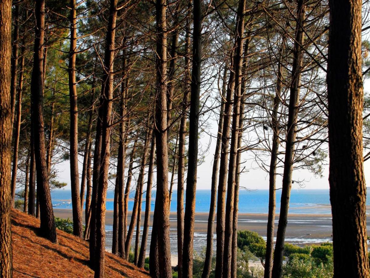 Maison 4 Chambres Avec Clim, Wi-Fi A 5 Min De La Plage A Arcachon - Fr-1-420-124 外观 照片